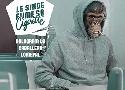 NFT : encore plus stupide — Pavillon rouge et noir